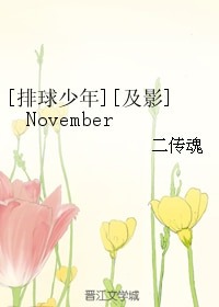 （BL/排球少年同人）[及影]November