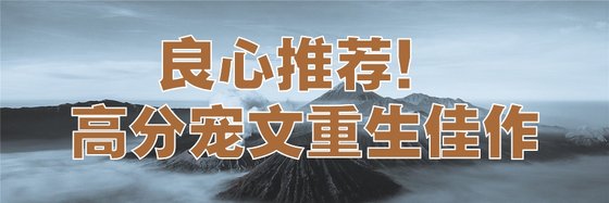 良心推荐！高分宠文重生佳作